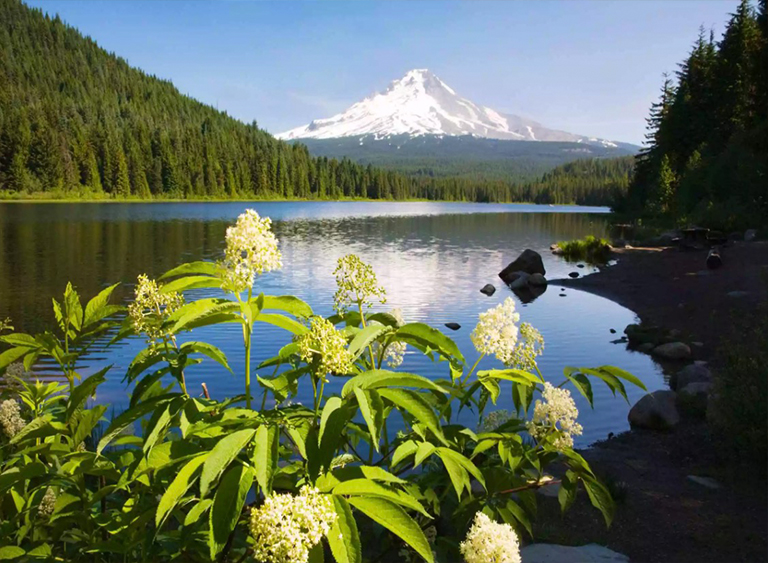 美國國家森林清單分享（四）