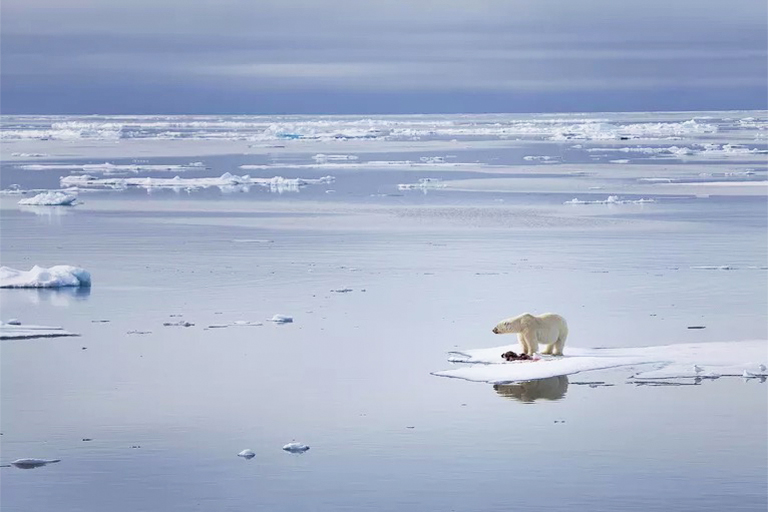 全球變暖有什么好處？即使是佳方案缺點也勝過任何可能的優點
