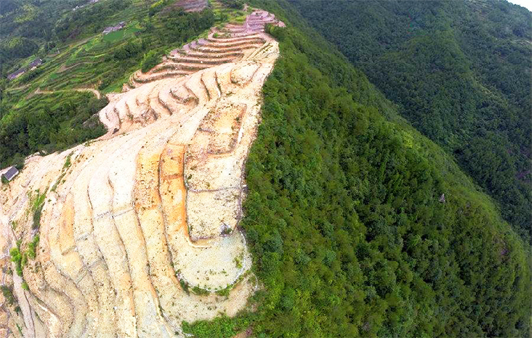 什么是森林砍伐？毀林是一個日益嚴重的全球性問題