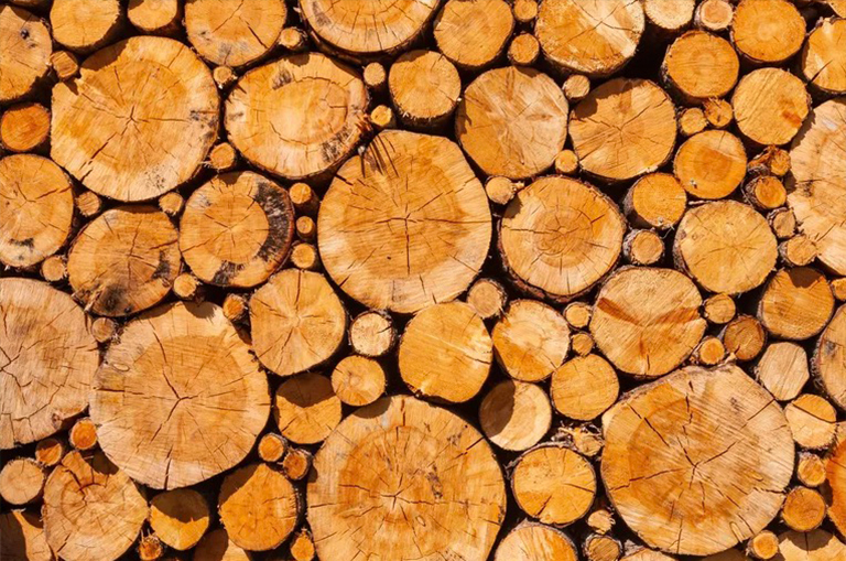 如何賣樹成材-出售樹木木材的相關建議和需要注意的點（二）