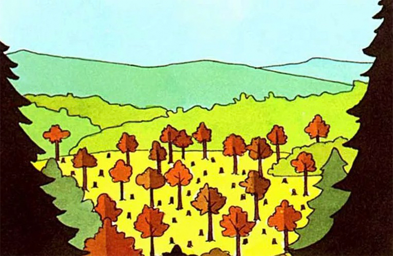 樹木均勻采伐的方法-再生均勻年齡林分的天然播種系統(tǒng)