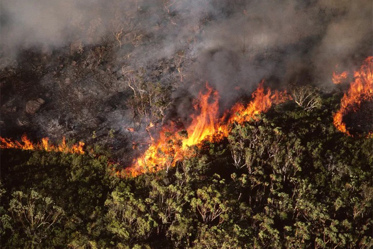 野火何時(shí)何地發(fā)生-許多山火由雷擊引起多則是人類活動(dòng)引起的
