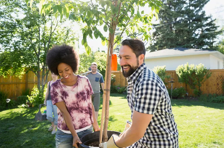 基本植樹常見問題-何時／何地以及如何種樹