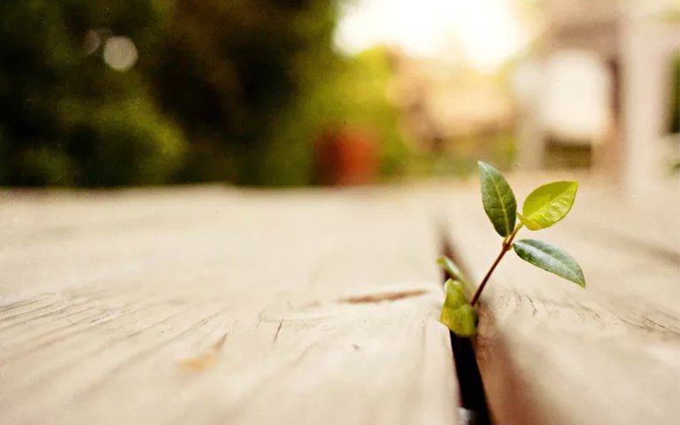 考古學中的穩定同位素分析-穩定同位素及其研究原理