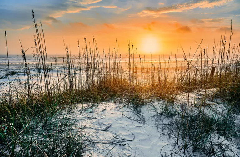 喬治亞州的國(guó)家公園-橡樹 內(nèi)戰(zhàn)遺址 海灘（一）