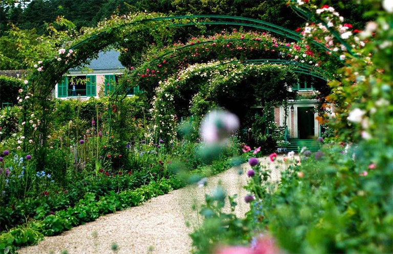 專為蝴蝶和蜜蜂設(shè)計的景觀