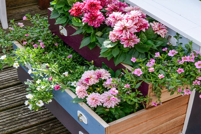 打細算經濟型植物花園創意–擴大空間而又不花錢（四）