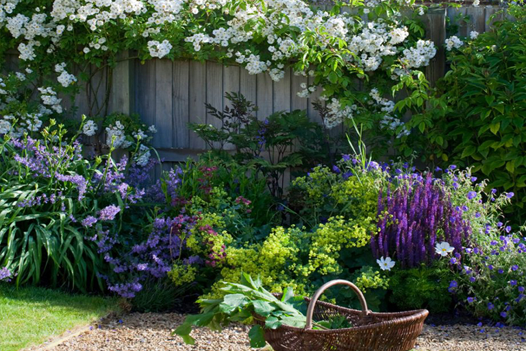山寨植物花園創意–在任何環境下創建迷人的鄉村f 格植物花園(中）