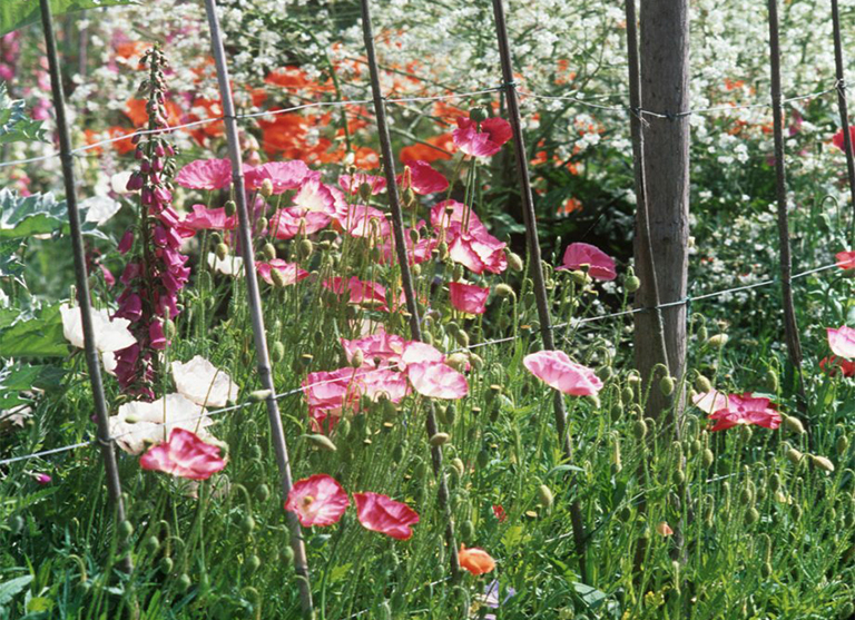 北京廠家關于植物花園柵欄／圍欄的設計構想（下）