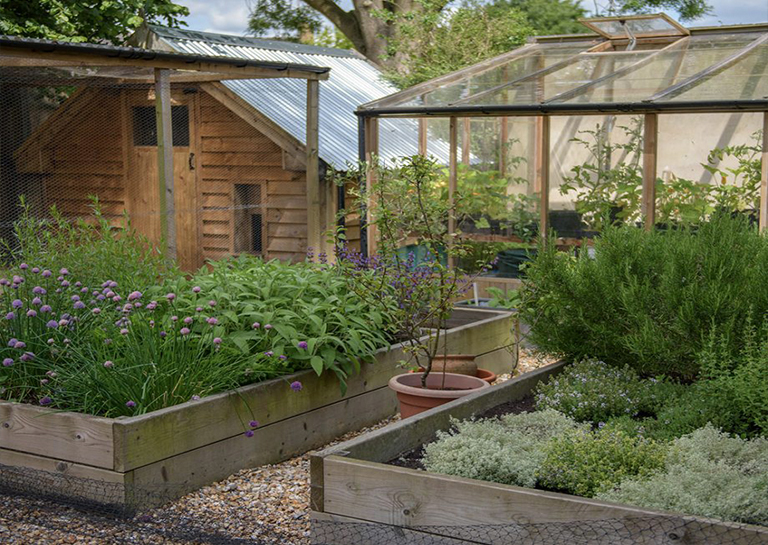 簡單的創意方法來改善植物花園可以不花一分錢哦 (上)