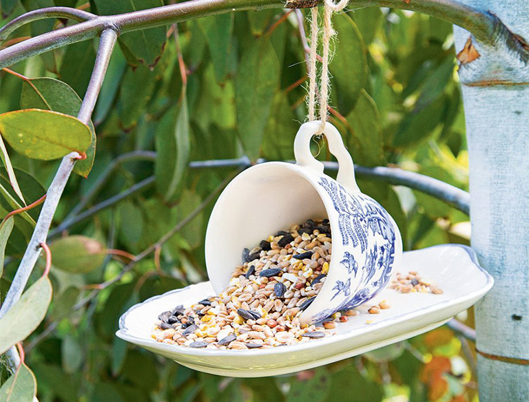 15種簡單創意方法將植物花園變成野生動物的天堂（上）