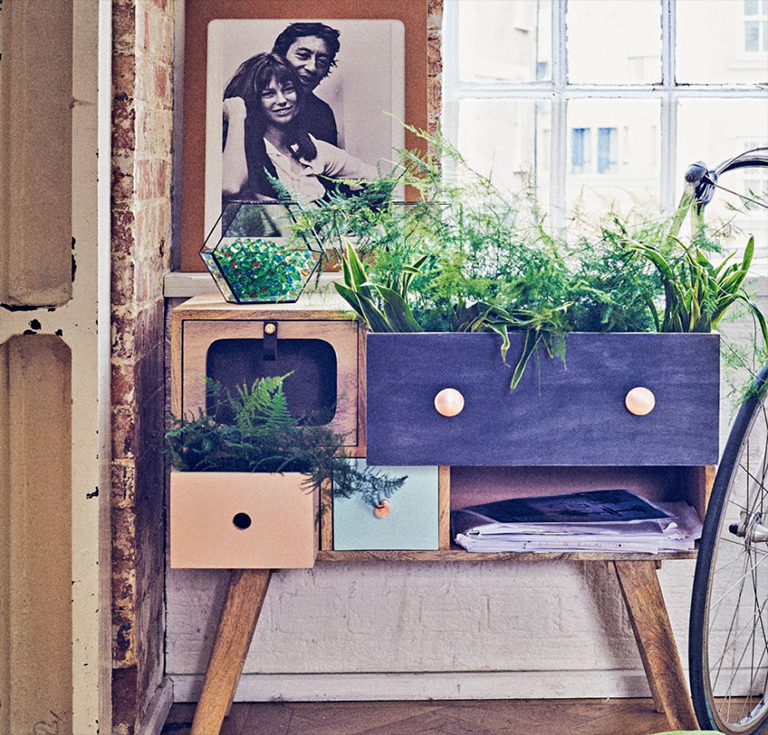 二月份在植物花園里要做的工作-從創建一個室內花園到挑選完美的植物