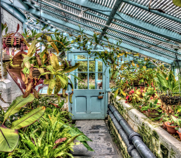 佳英國(guó)花園推薦—從廣闊的鄉(xiāng)村地區(qū)到市中心的植物天堂