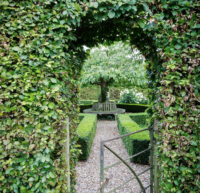 三月份在植物花園里要做的工作