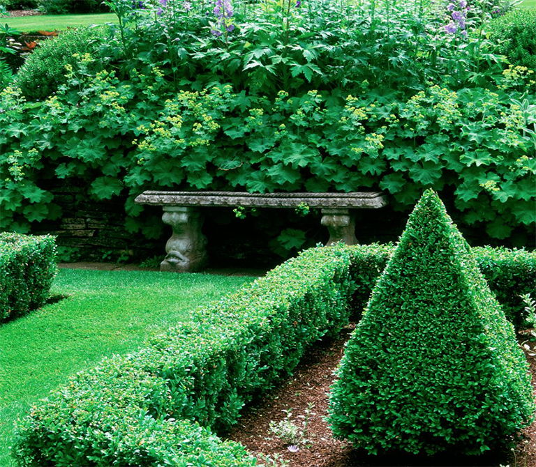適用于所有戶外空間的植物花園藝術創意（下）