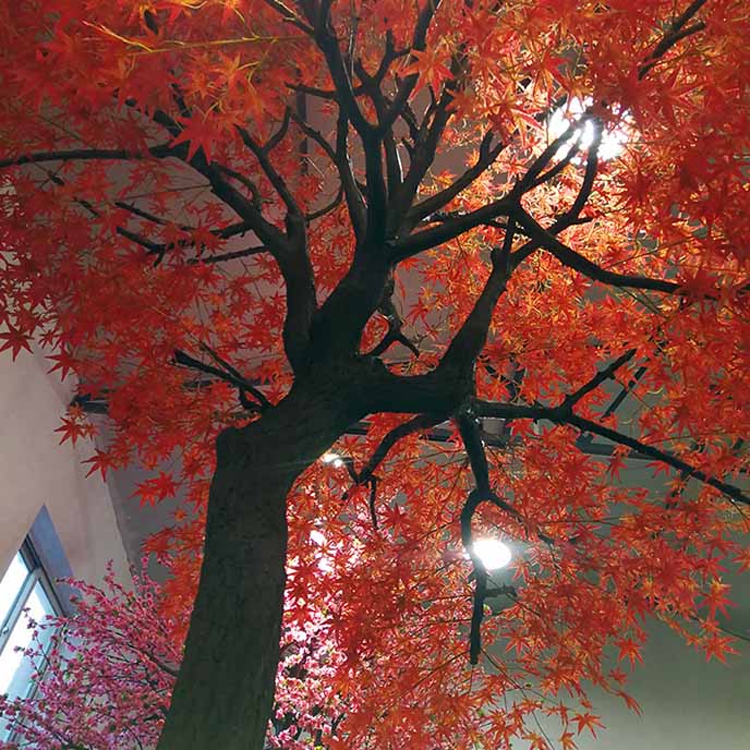 仿真紅楓樹
