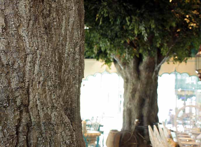 仿真樹廠家.jpg 仿真樹廠家