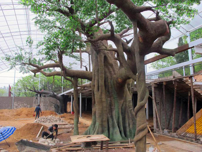 仿真榕樹