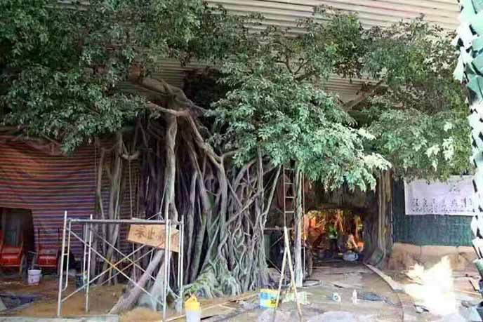 仿真榕樹(shù).jpeg 仿真榕樹(shù)