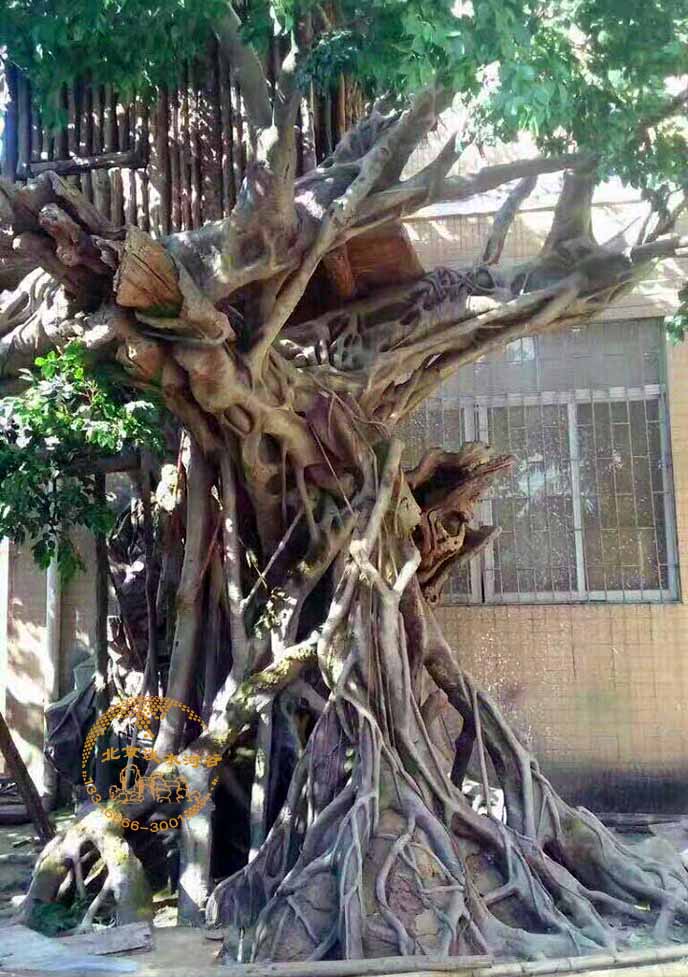 仿真榕樹.jpeg 仿真榕樹