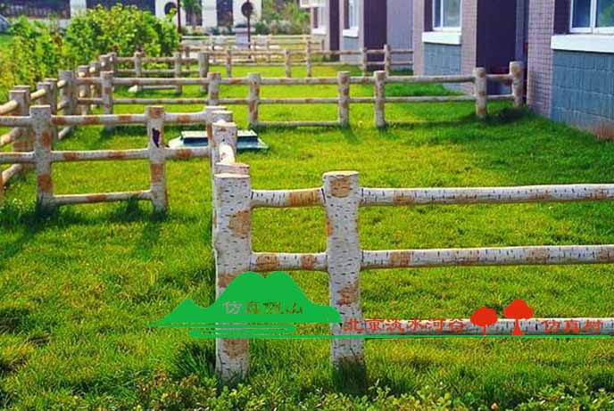 仿真白樺樹.jpg 仿真白樺樹.jpg