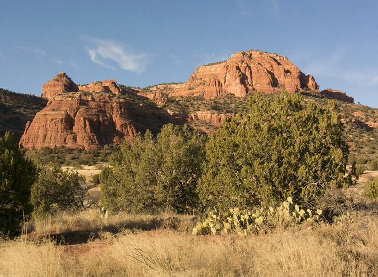 可可諾國家森林在亞利桑那州