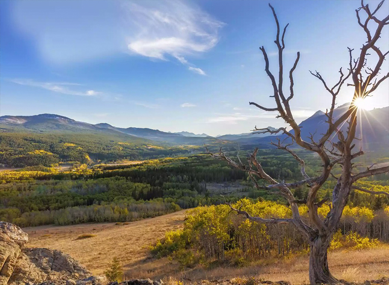 蒙大拿州的劉易斯和克拉克國家森林公園