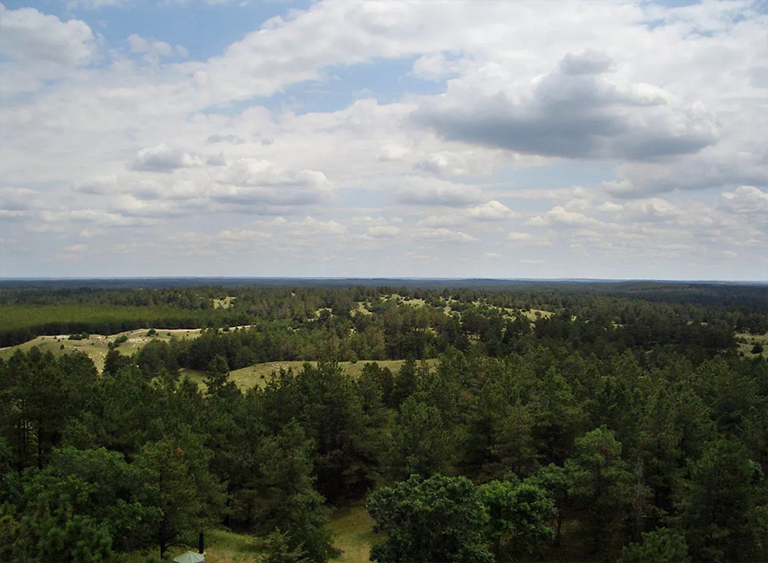 內布拉斯加州國家森林