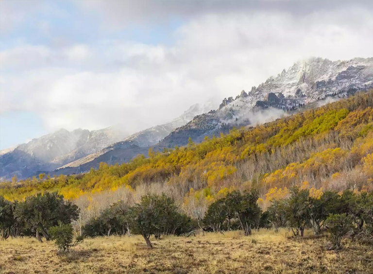 洪堡-Toiyabe國家森林在內華達州