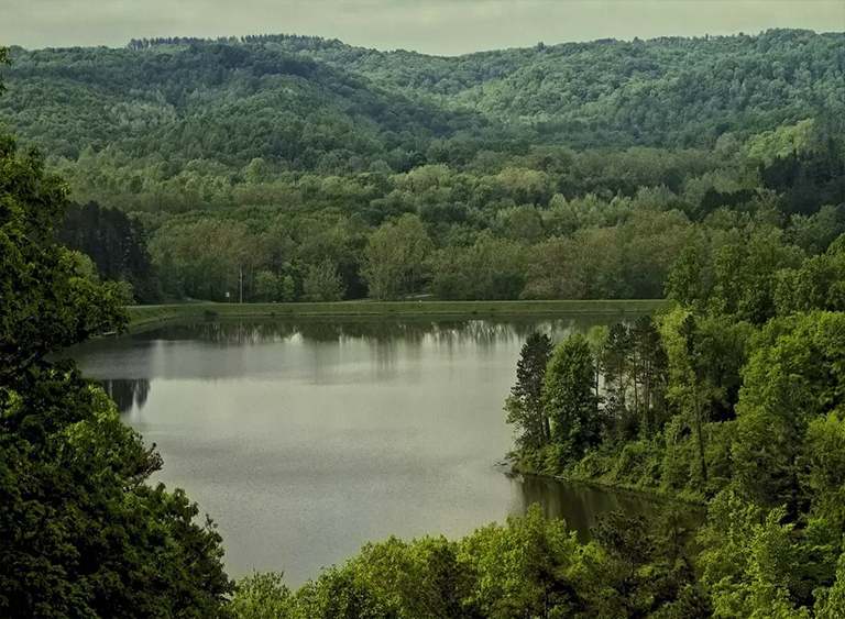 俄亥俄州的韋恩國家森林