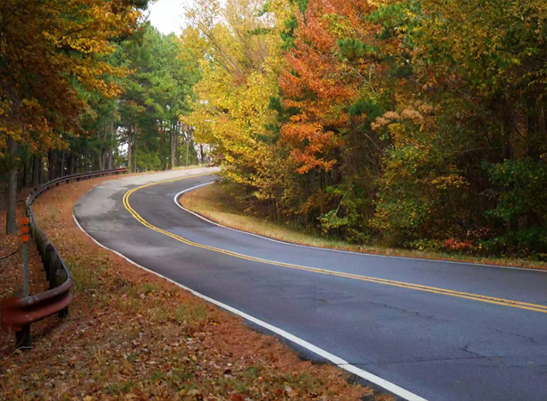 俄克拉何馬州沃希托國家森林