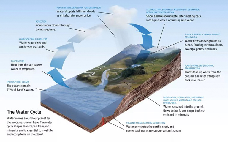森林蒸騰與水循環