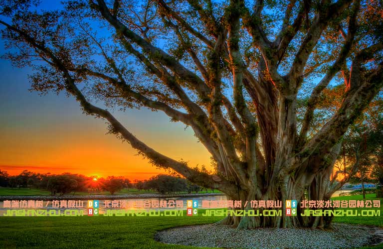 仿真假樹(shù)圖片