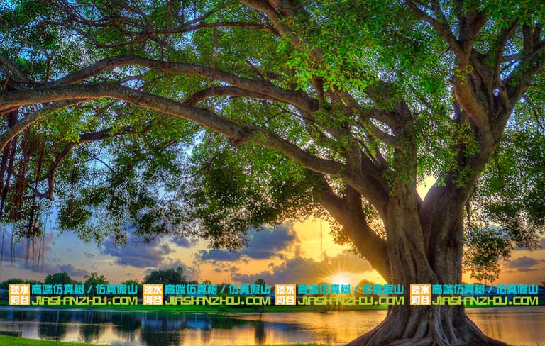 仿真假樹(shù)圖片