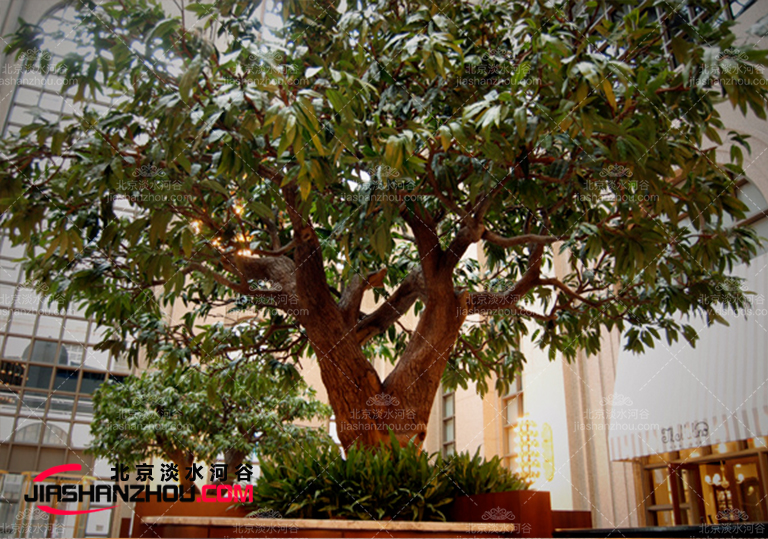 飯店仿真樹.jpg 飯店仿真樹