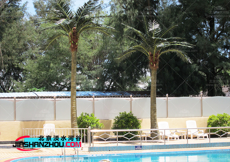 仿真樹.jpg 仿真樹