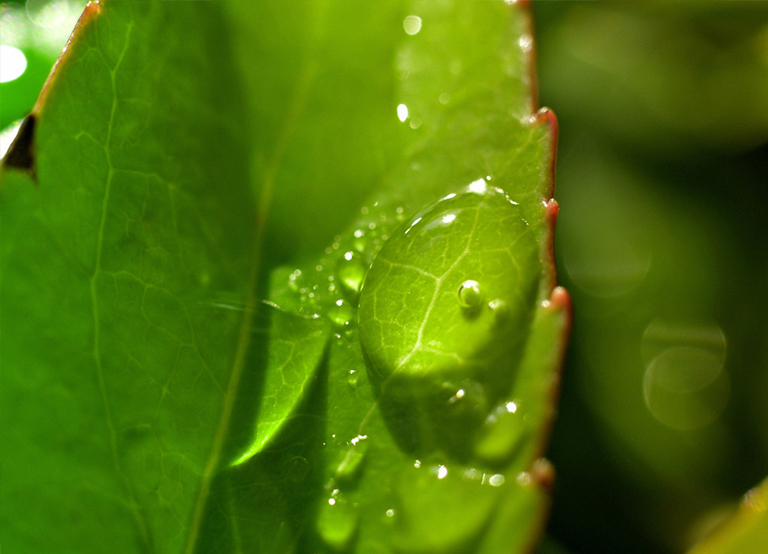 光合作用公式.jpg 光合作用公式