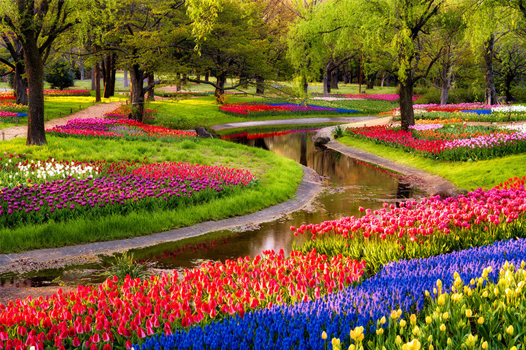 春季自然研究主題.jpg 春季自然研究主題