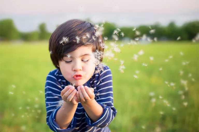 春季自然研究主題.jpg 春季自然研究主題