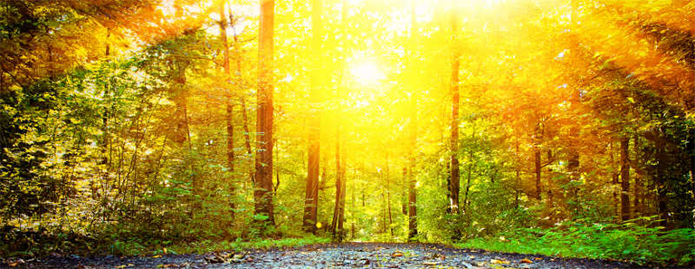 春季自然研究主題.jpg 春季自然研究主題