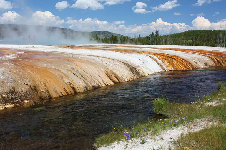 色帶來自在熱酸性水中大量繁殖的橙色藍細菌.jpg 色帶來自在熱酸性水中大量繁殖的橙色藍細菌