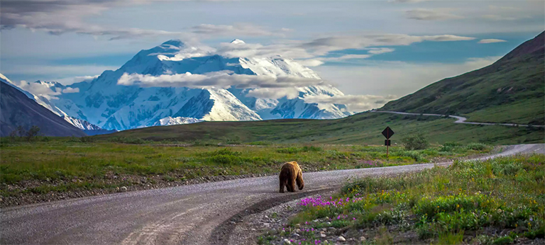 德納利國家公園和自然保護區.jpg 德納利國家公園和自然保護區