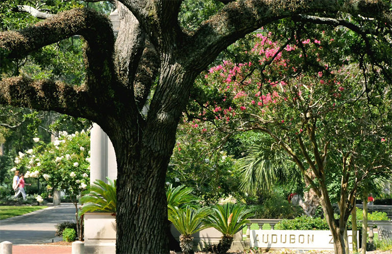 一條路徑的照片在水體附近的在背景中的歷史協會大樓前.jpg 一條路徑的照片在水體附近的在背景中的歷史協會大樓前
