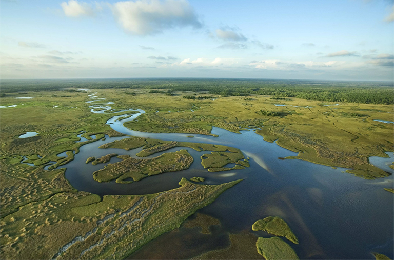 佛羅里達大沼澤地的鳥瞰圖.jpg 佛羅里達大沼澤地的鳥瞰圖