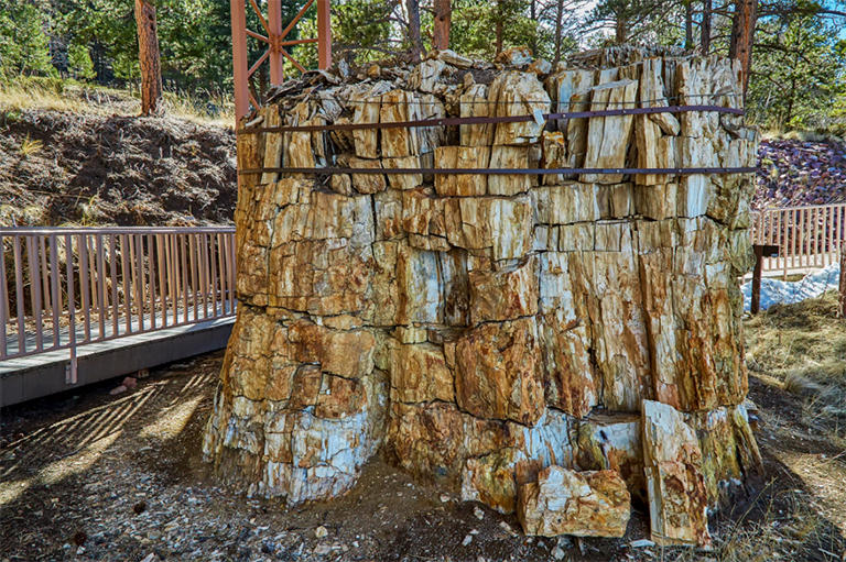 弗洛里桑化石床國家歷史文物.jpg 弗洛里桑化石床國家歷史文物