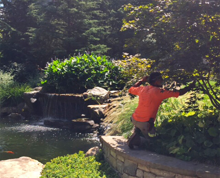 植物修剪.jpg 植物修剪