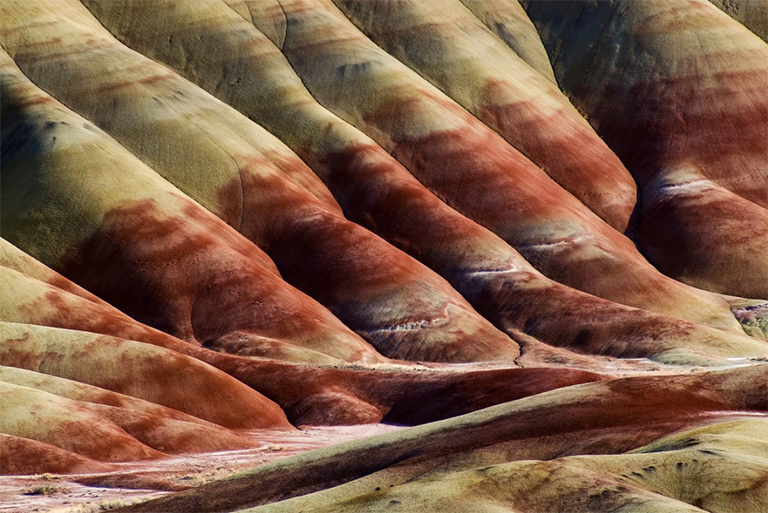 約翰·戴化石床國家紀念碑.jpg 約翰·戴化石床國家紀念碑