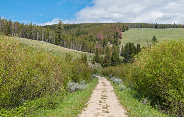 大洞國家戰場.jpg 大洞國家戰場