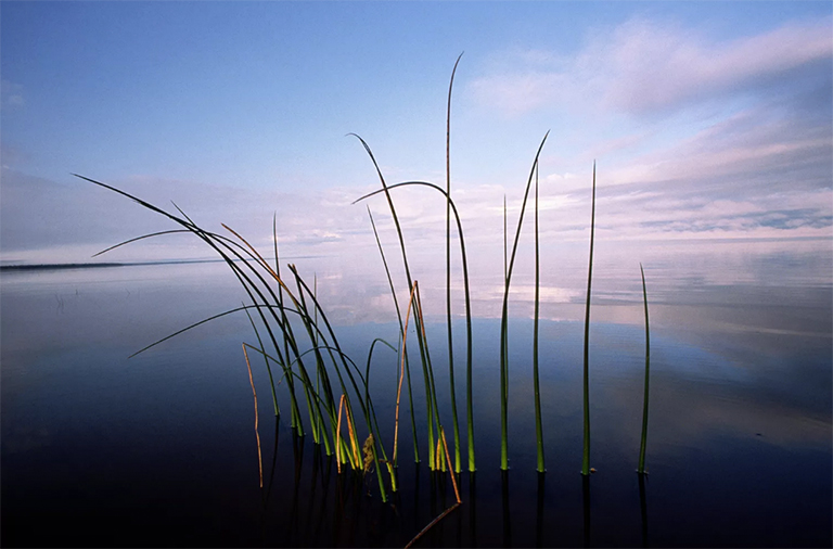 明尼蘇達州北部紅湖上游，夏末