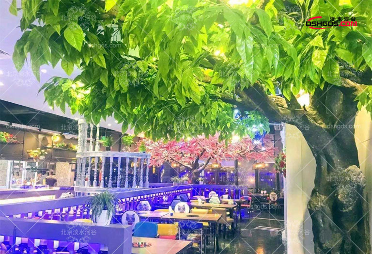 1603959897911864.jpg 榕樹z2.jpg